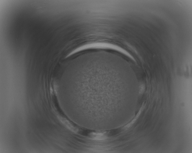 X0000082990170200702081844