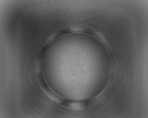 X0000082990171200702081844