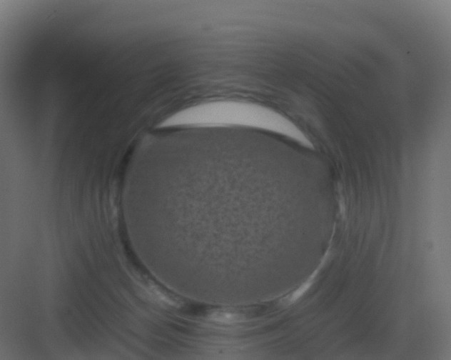 X0000082990174200702081844