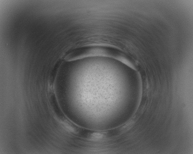 X0000082990176200702081844