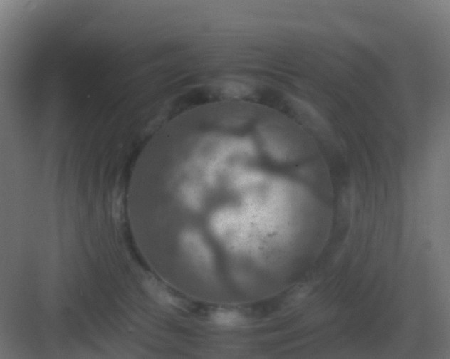 X0000082990177200702081844