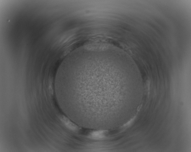 X0000082990178200702081844