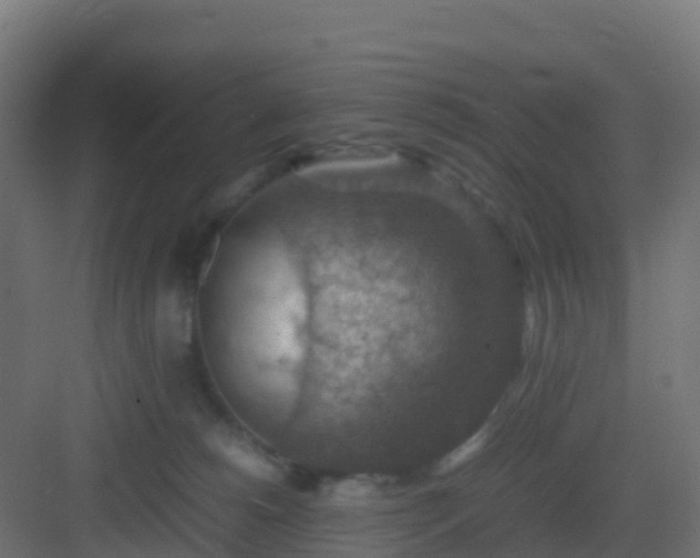 X0000082990180200702081844