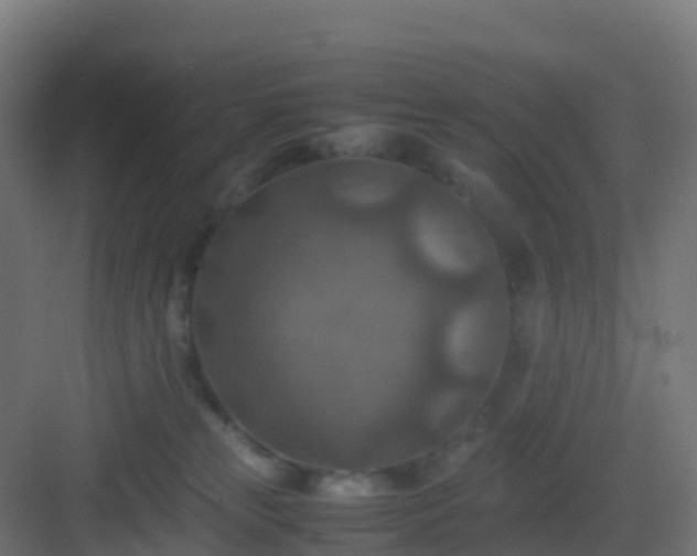 X0000082990181200702081844