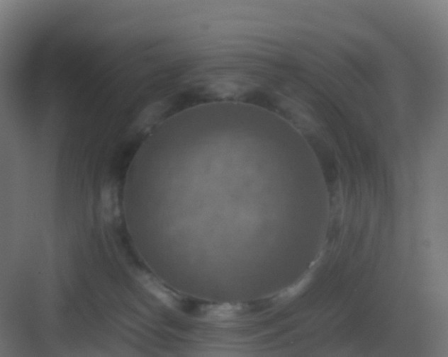 X0000082990182200702081844