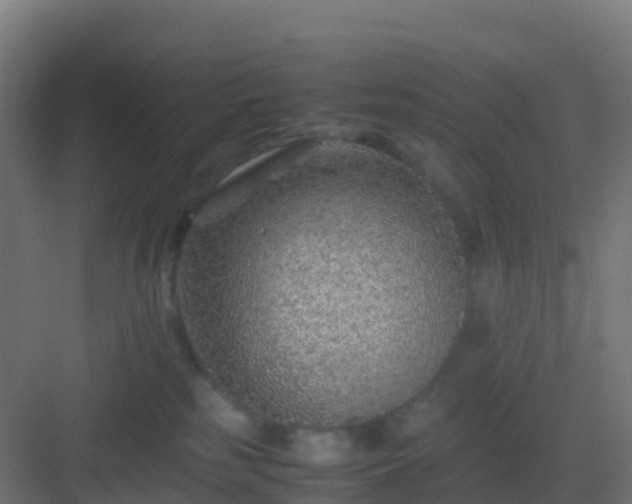 X0000082990185200702081844