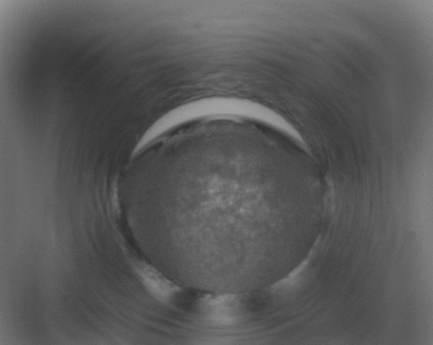 X0000082990186200702081844