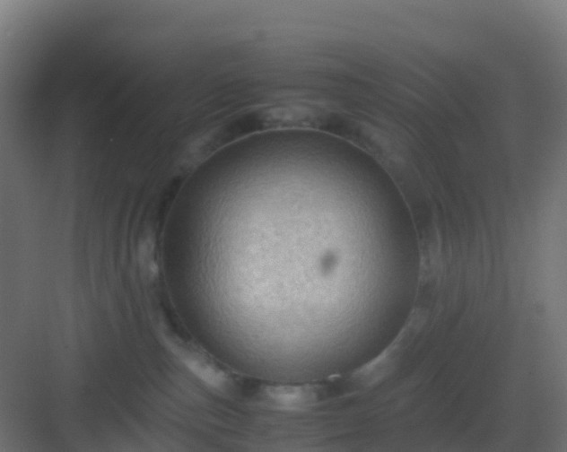 X0000082990187200702081844