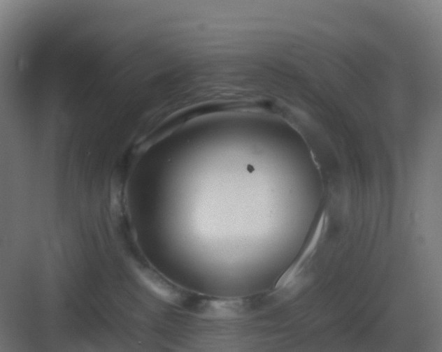 X0000082990188200702081844