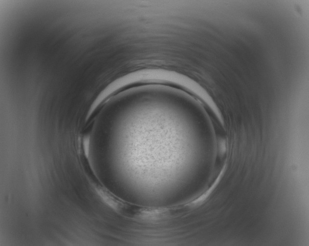 X0000082990190200702081844