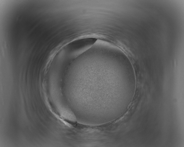 X0000082990193200702081843