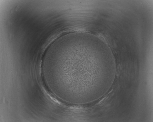 X0000082990194200702081843