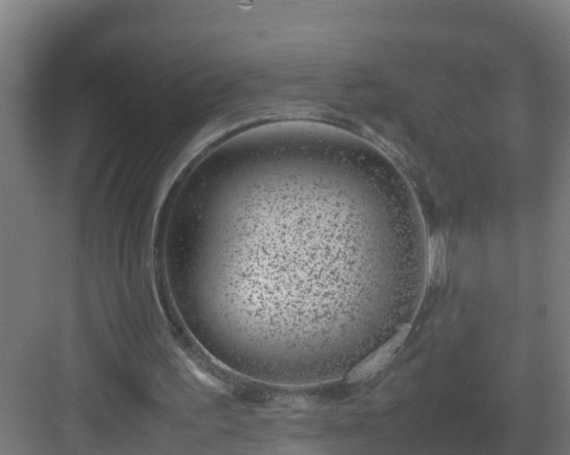 X0000082990195200702081843