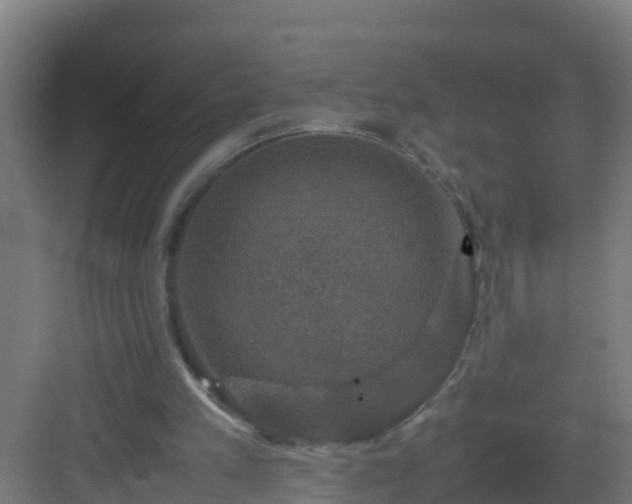 X0000082990197200702081843