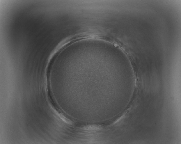 X0000082990198200702081843