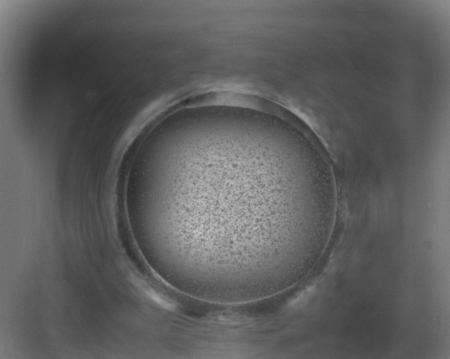 X0000082990199200702081843