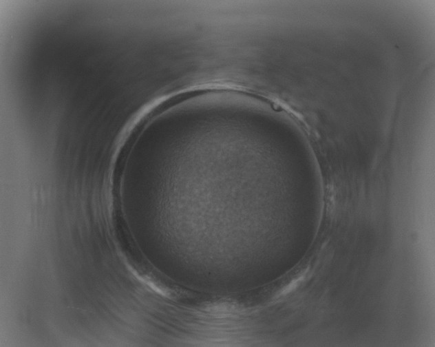 X0000082990200200702081843