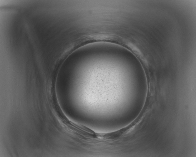 X0000082990201200702081843