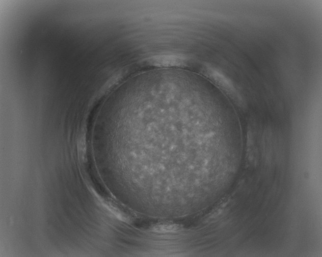 X0000082990202200702081843