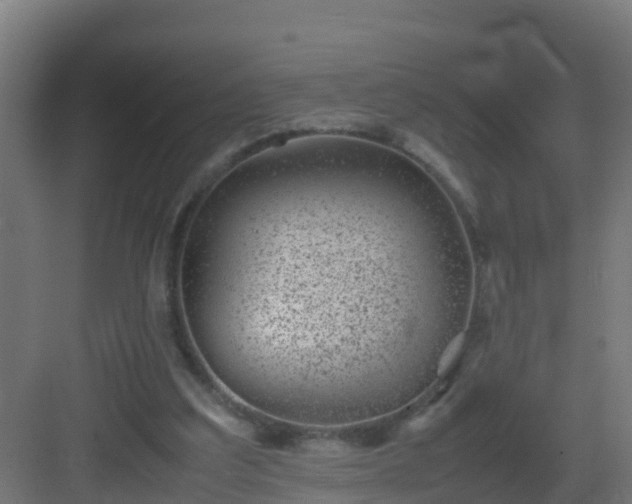 X0000082990203200702081843