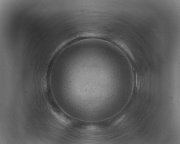 X0000082990204200702081843