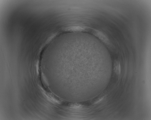 X0000082990206200702081843