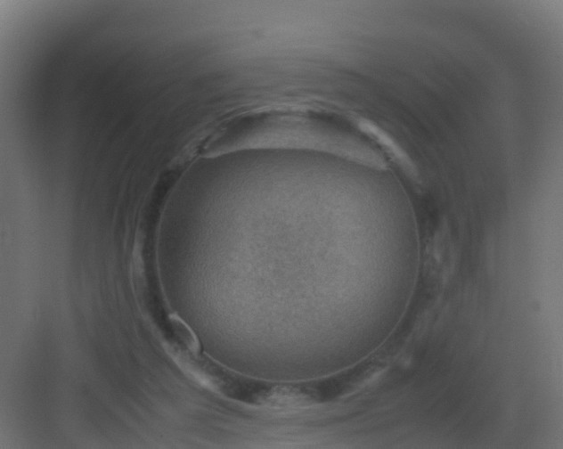 X0000082990209200702081843