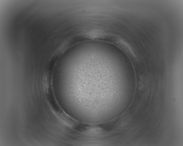 X0000082990210200702081843