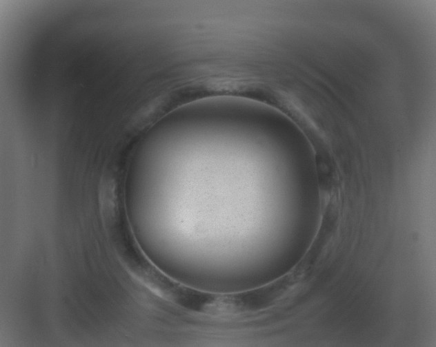 X0000082990211200702081843