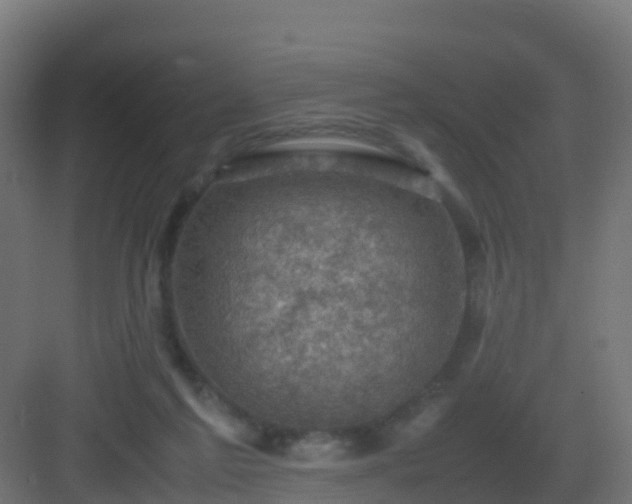 X0000082990213200702081843