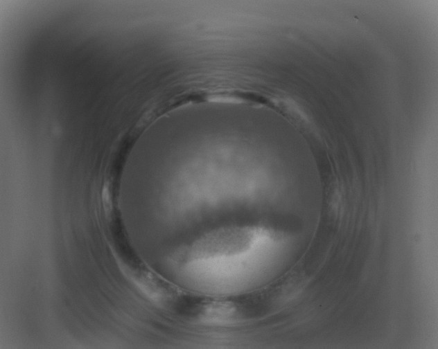 X0000082990214200702081843