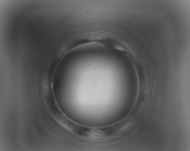 X0000082990215200702081843