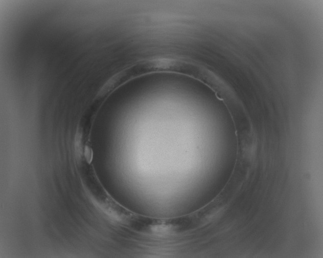 X0000082990216200702081843