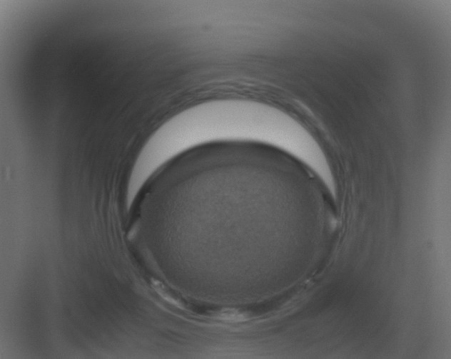 X0000082990217200702081843