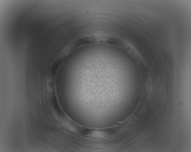 X0000082990218200702081843