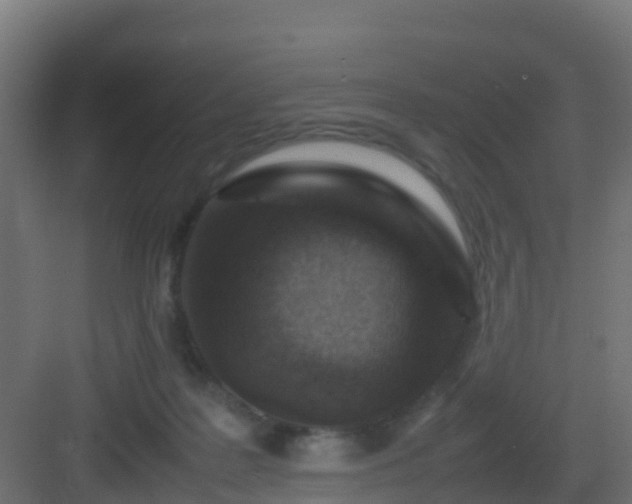 X0000082990219200702081843