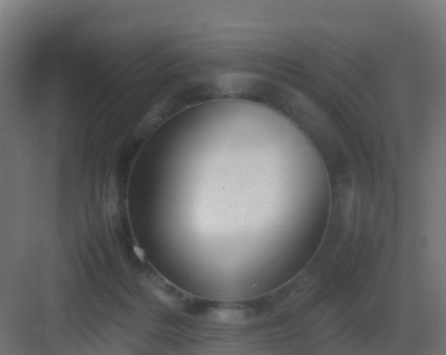 X0000082990220200702081843