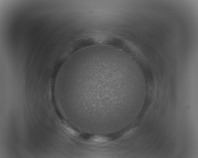 X0000082990221200702081843