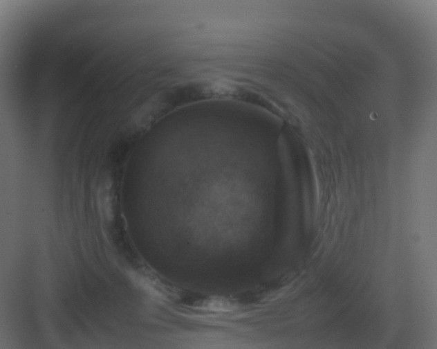 X0000082990223200702081843