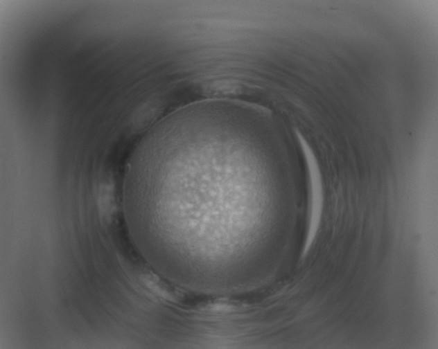 X0000082990224200702081843