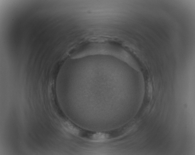 X0000082990225200702081843