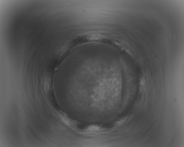 X0000082990227200702081843