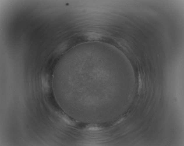 X0000082990228200702081843