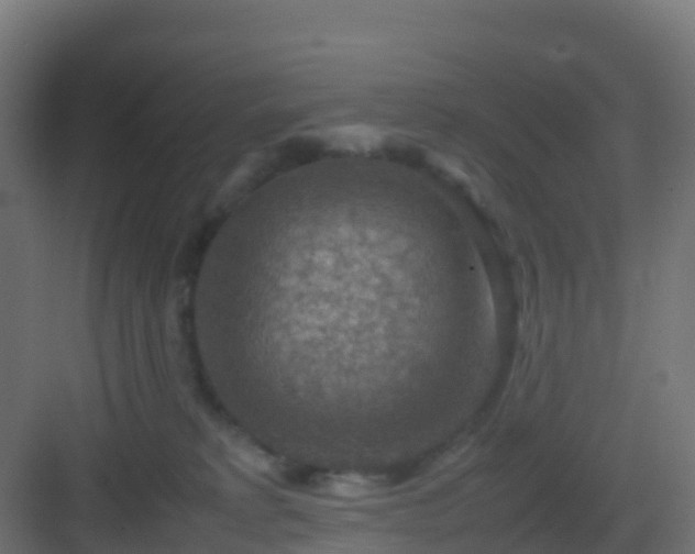 X0000082990229200702081843