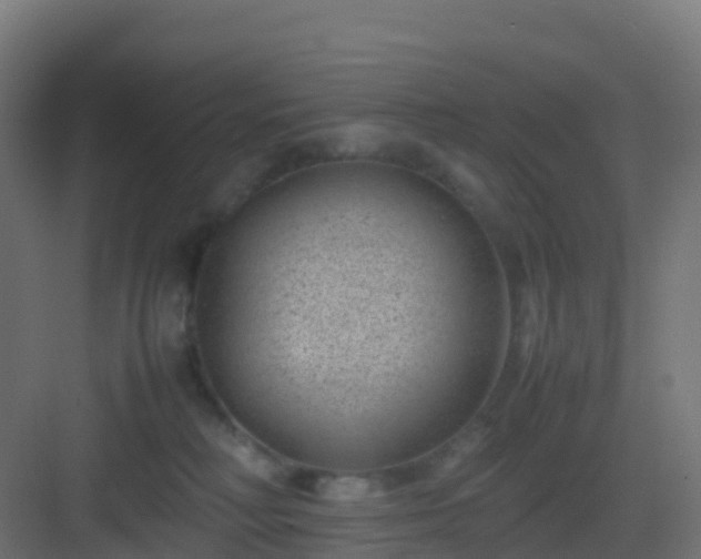 X0000082990230200702081842