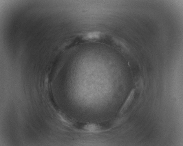 X0000082990231200702081842