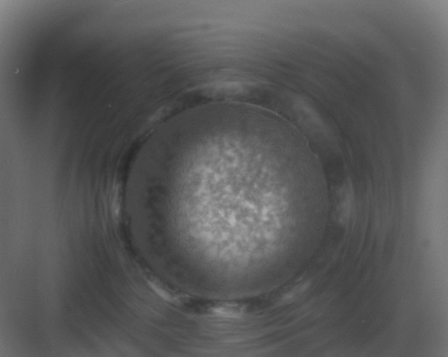 X0000082990232200702081842