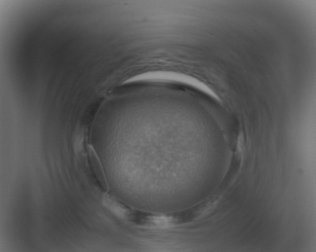 X0000082990233200702081842