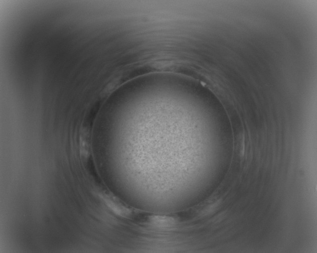 X0000082990234200702081842