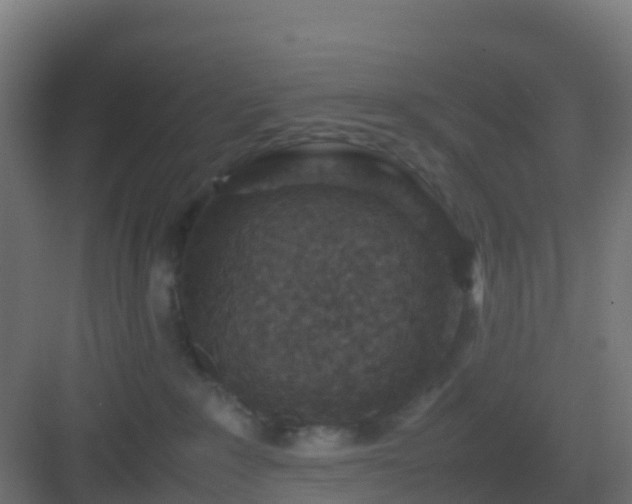 X0000082990235200702081842